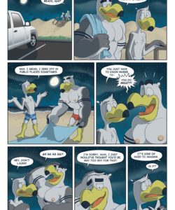 Brogulls 042
