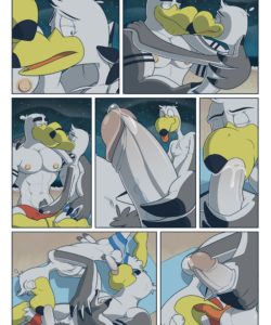 Brogulls 044