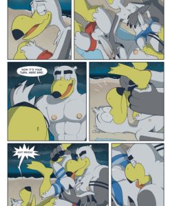 Brogulls 047