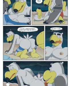 Brogulls 048