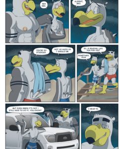 Brogulls 052