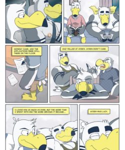 Brogulls 053