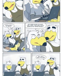 Brogulls 054