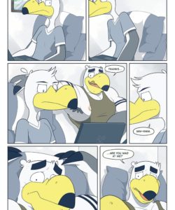 Brogulls 055