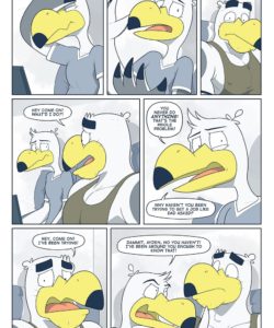Brogulls 056