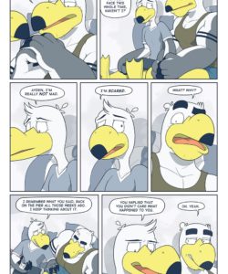 Brogulls 057