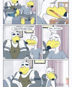 Brogulls 058