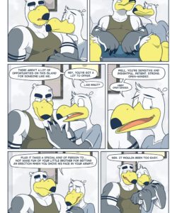 Brogulls 060