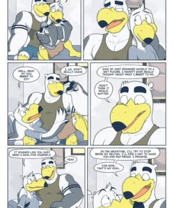 Brogulls 061