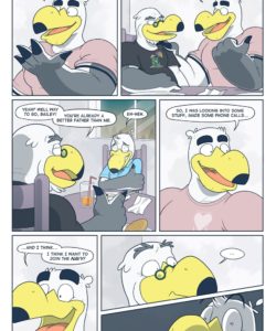 Brogulls 064