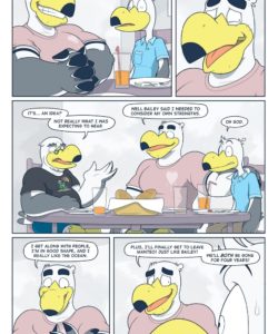 Brogulls 065