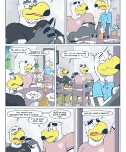 Brogulls 066