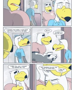 Brogulls 067