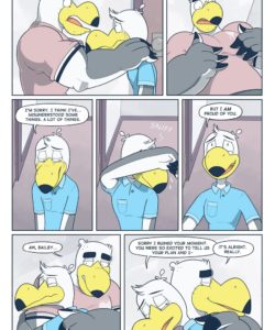 Brogulls 068