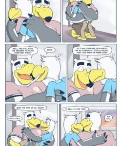 Brogulls 069