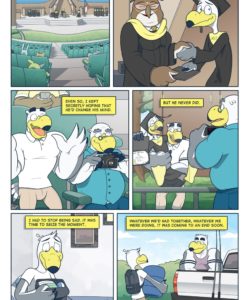 Brogulls 070