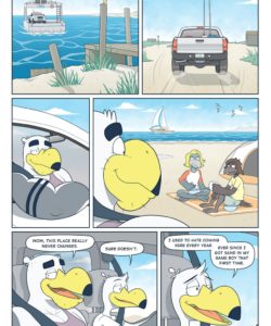 Brogulls 072