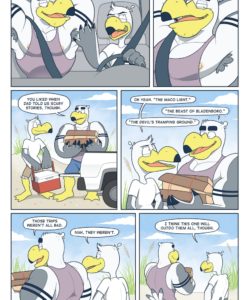 Brogulls 073