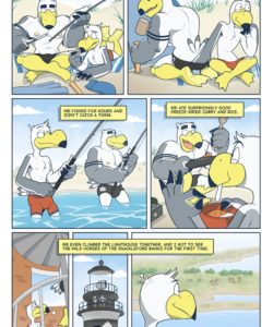 Brogulls 074