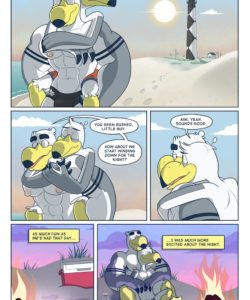 Brogulls 075