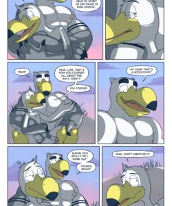 Brogulls 077
