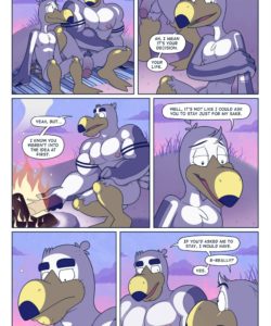 Brogulls 078