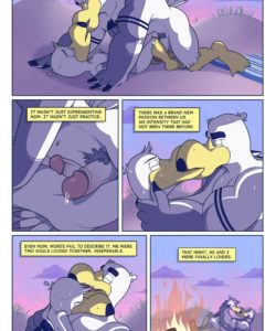 Brogulls 086