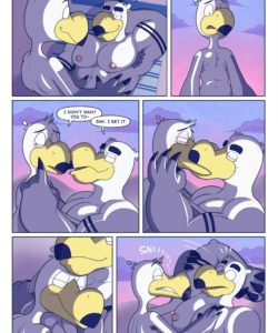 Brogulls 087