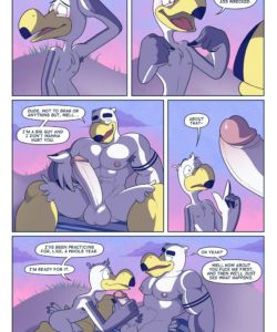Brogulls 093