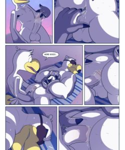 Brogulls 095
