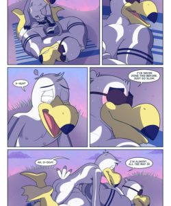 Brogulls 096