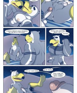 Brogulls 101