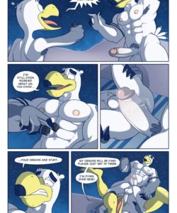 Brogulls 102