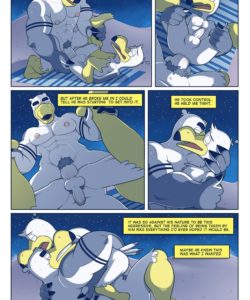 Brogulls 104