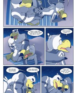 Brogulls 107