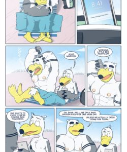 Brogulls 110