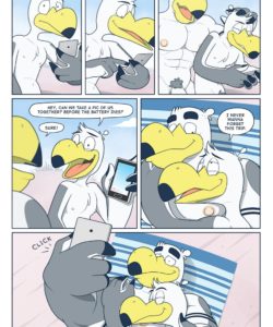 Brogulls 111