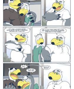 Brogulls 113