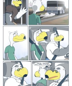 Brogulls 114