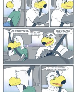 Brogulls 115