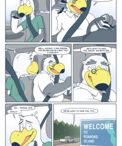 Brogulls 116