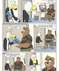 Brogulls 118