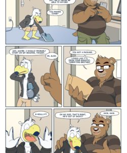 Brogulls 119
