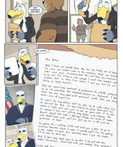 Brogulls 120