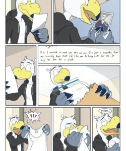 Brogulls 121