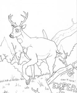 Buck Up 022