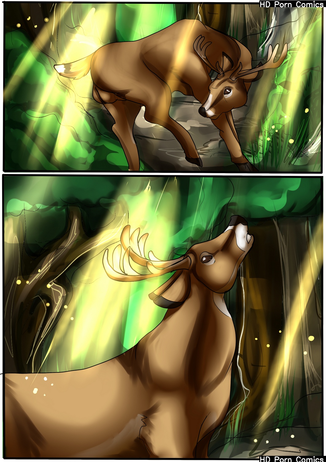 Bucking It Up! 005