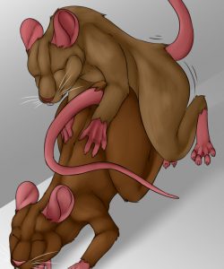 Mouse Maze 015