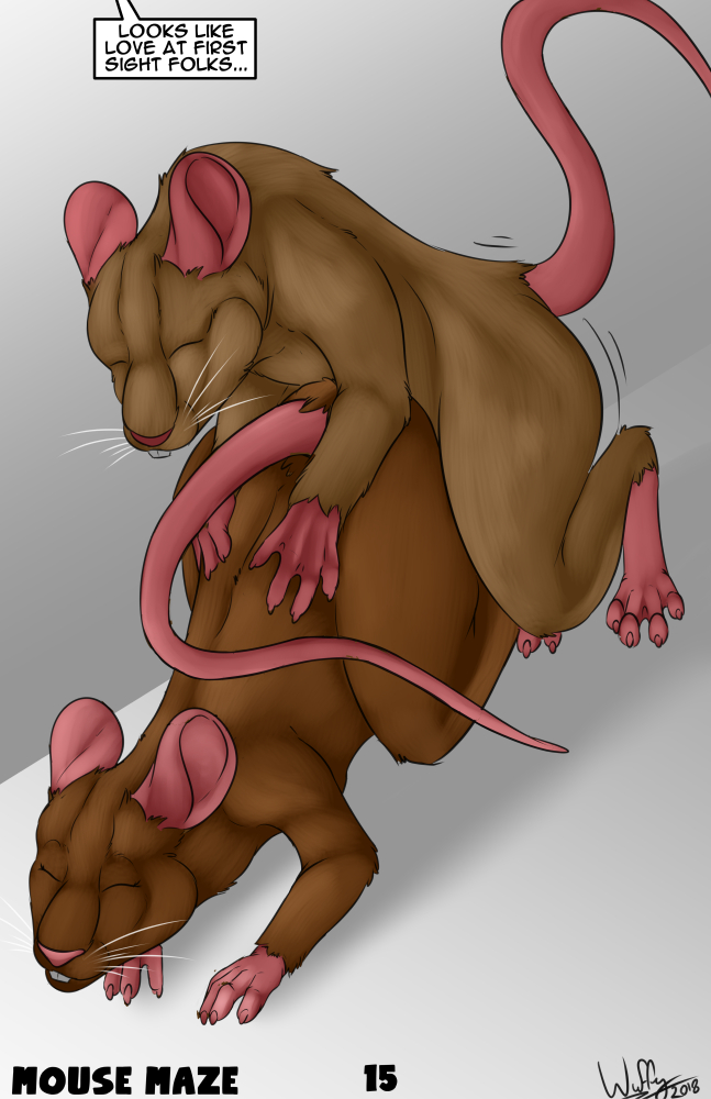 Mouse Maze 015