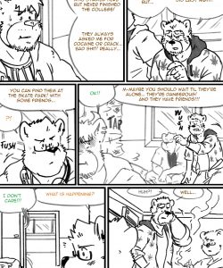 Choices - Autumn 005